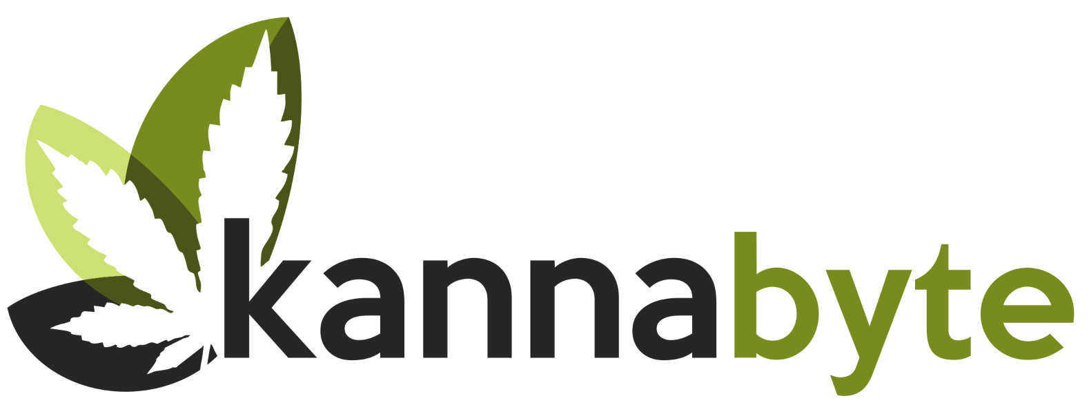 Logo Kannabyte S.A.S.